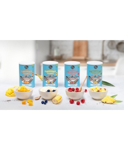 Cocosa Woda Kokosowa Gazowana 330 ml (k)