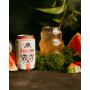 Cocosa Coconut Water with Watermelon Juice NFC 330 ml (deposit)